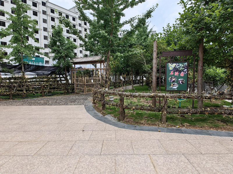 7.乐清市大荆镇第一小学.png
